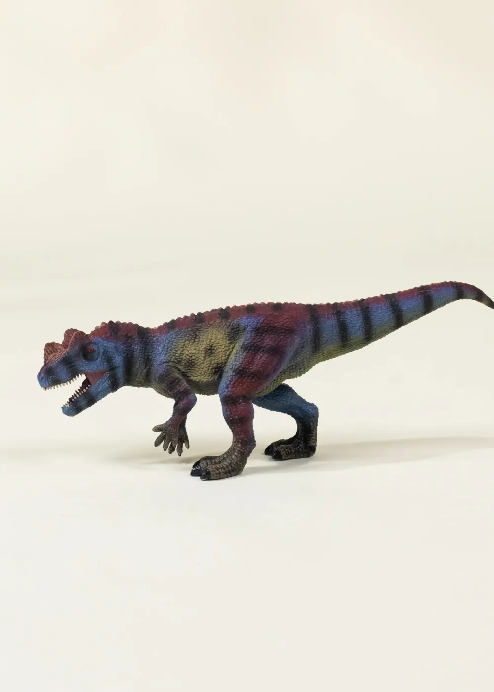 Coco Village Ceratosaurus Dinosaur in a Collectible Box