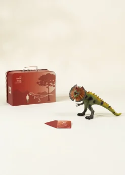 Coco Village Dilophosaurus Dinosaur in a Collectible Box