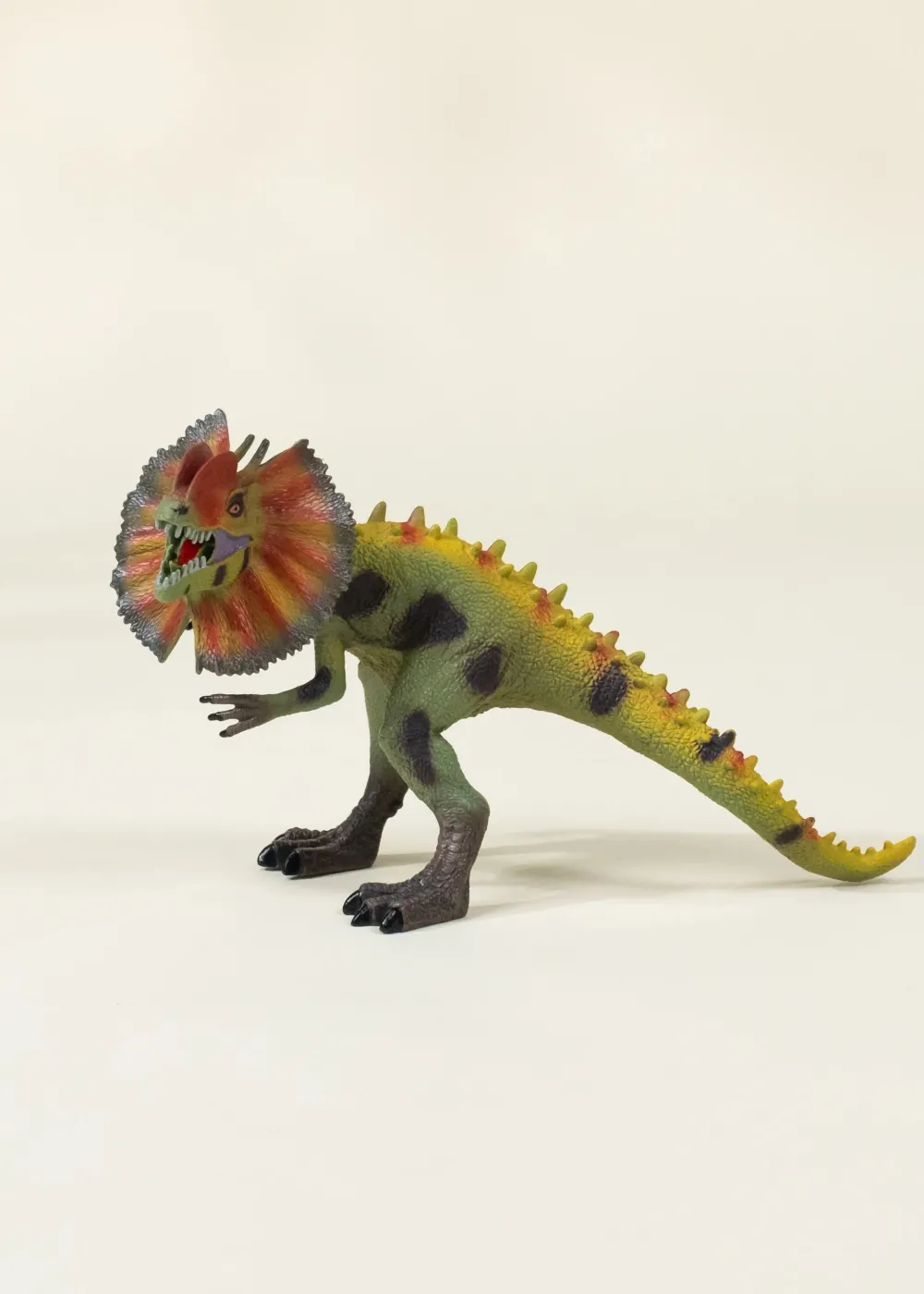 Coco Village Dilophosaurus Dinosaur in a Collectible Box