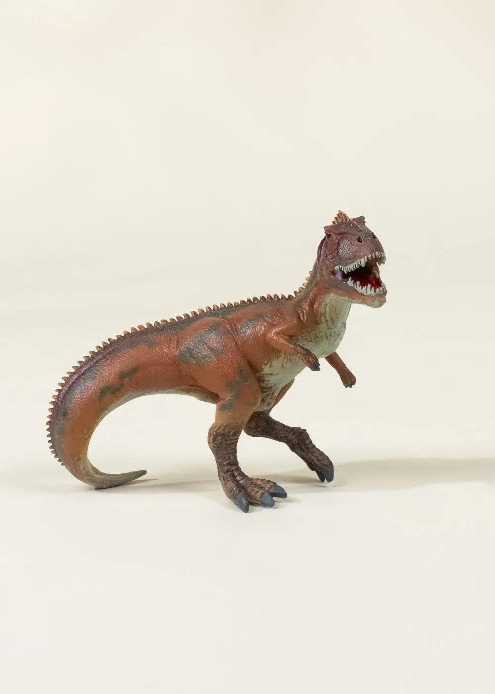 Coco Village Giganotosaurus Dinosaur in a Collectible Box