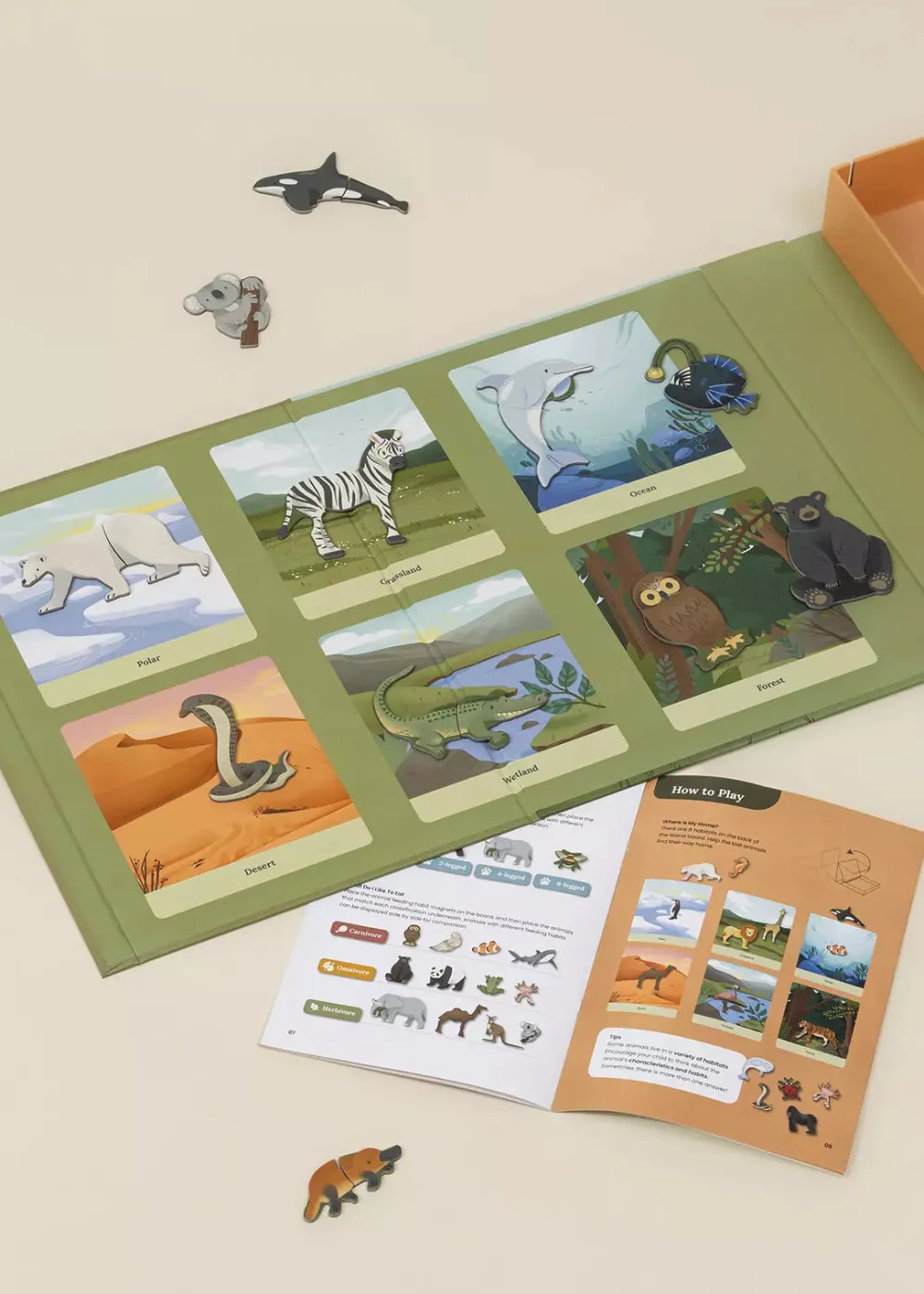 Coco Village Interactive & Magnetic Encyclopedia – Animal Discovery