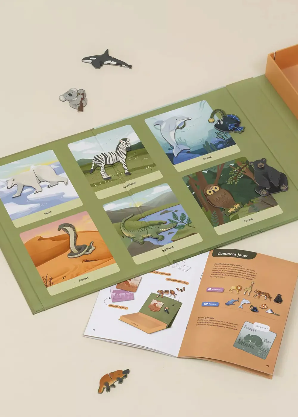 Coco Village Interactive & Magnetic Encyclopedia – Animal Discovery