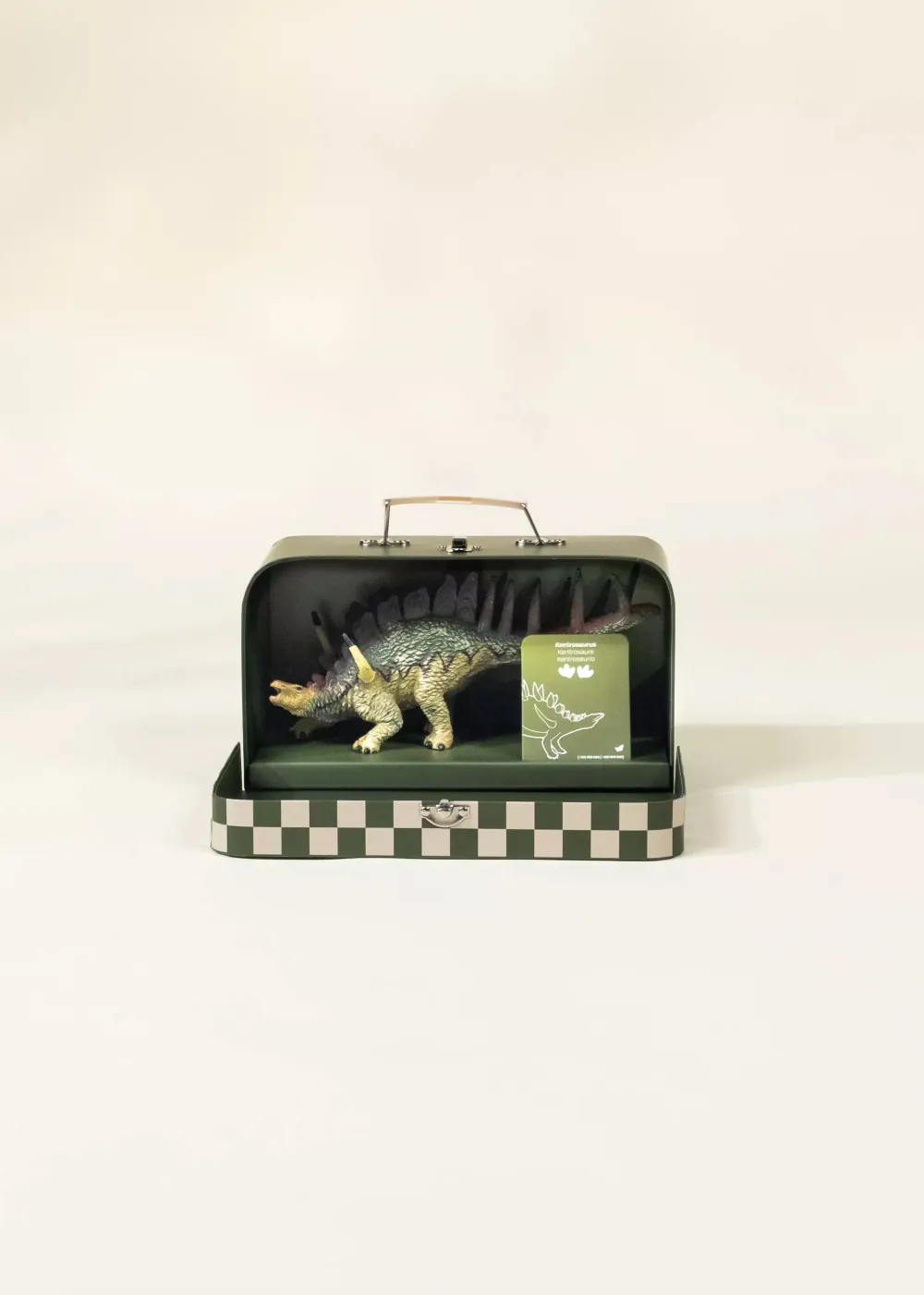 Coco Village Kentrosaurus Dinosaur in a Collectible Box