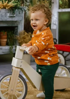 Coco Village Long-Sleeve Shirt Hazel Dragonfly 9-12m
