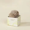 Coco Village Mini Gift Plush Toy - Grey Hippopotamus
