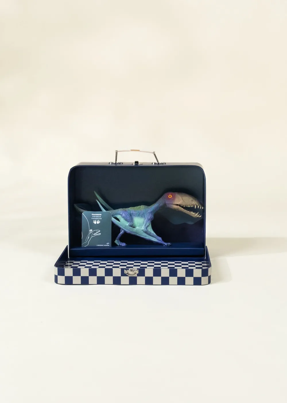Coco Village Pterosauria Dinosaur in a Collectible Box