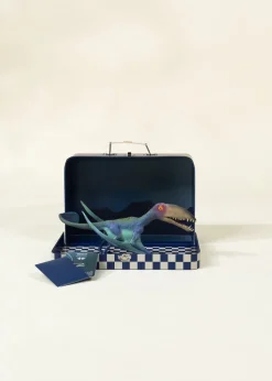 Coco Village Pterosauria Dinosaur in a Collectible Box