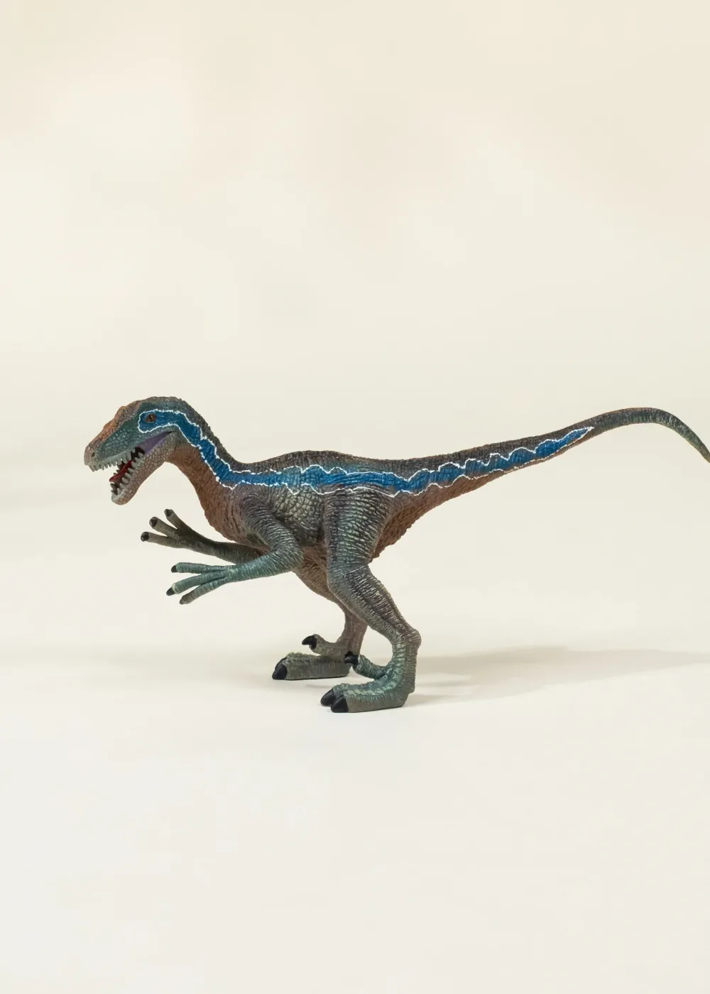 Coco Village Velociraptor Dinosaur in a Collectible Box
